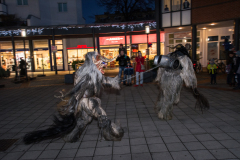 Photo by Sascha Fiala