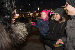 Photo by Sascha Fiala