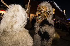 Photo by Sascha Fiala