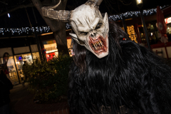 Photo by Sascha Fiala