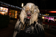 Photo by Sascha Fiala