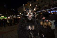 Photo by Sascha Fiala