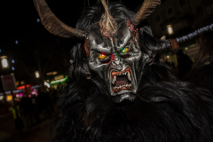 Photo by Sascha Fiala