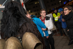 Photo by Sascha Fiala