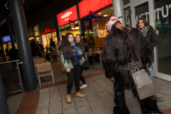 Photo by Sascha Fiala