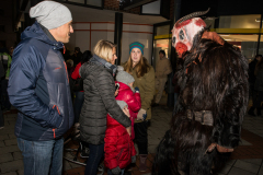 Photo by Sascha Fiala