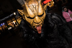 Photo by Sascha Fiala