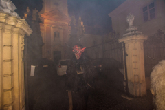 Photo by Sascha Fiala