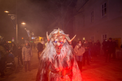 Photo by Sascha Fiala