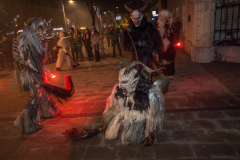 Photo by Sascha Fiala