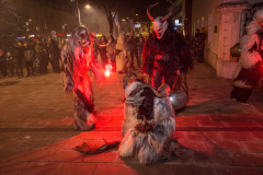 Photo by Sascha Fiala