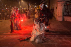 Photo by Sascha Fiala