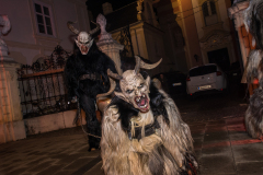 Photo by Sascha Fiala