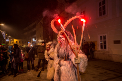 Photo by Sascha Fiala