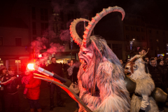 Photo by Sascha Fiala