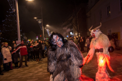 Photo by Sascha Fiala