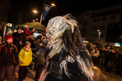 Photo by Sascha Fiala