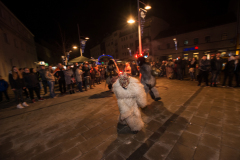 Photo by Sascha Fiala