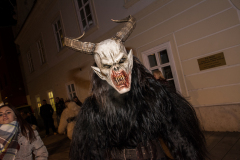 Photo by Sascha Fiala