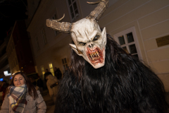 Photo by Sascha Fiala