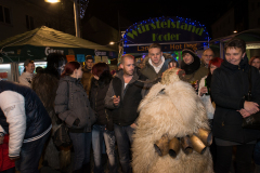 Photo by Sascha Fiala