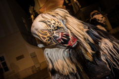 Photo by Sascha Fiala