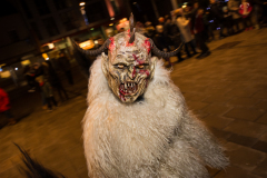 Photo by Sascha Fiala