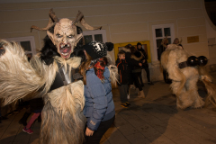 Photo by Sascha Fiala