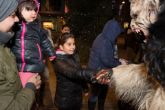 Photo by Sascha Fiala