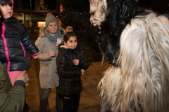 Photo by Sascha Fiala