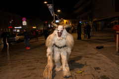 Photo by Sascha Fiala