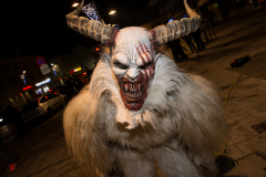 Photo by Sascha Fiala