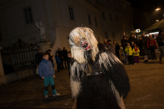 Photo by Sascha Fiala