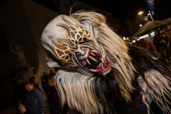 Photo by Sascha Fiala