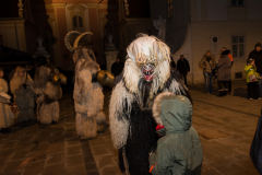 Photo by Sascha Fiala