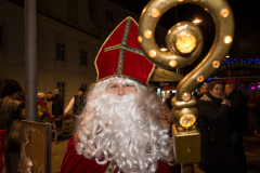 Photo by Sascha Fiala