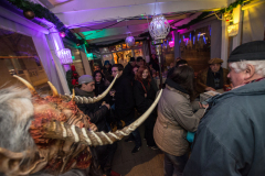 Photo by Sascha Fiala