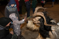 Photo by Sascha Fiala