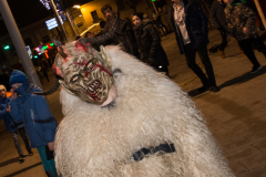 Photo by Sascha Fiala