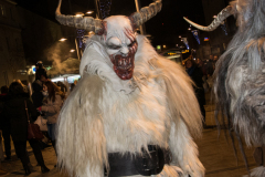 Photo by Sascha Fiala