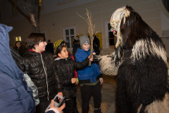 Photo by Sascha Fiala