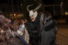 Photo by Sascha Fiala