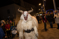 Photo by Sascha Fiala