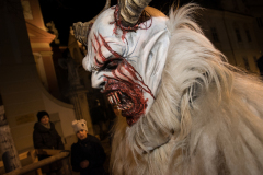 Photo by Sascha Fiala