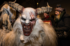 Photo by Sascha Fiala