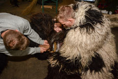 Photo by Sascha Fiala