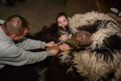 Photo by Sascha Fiala