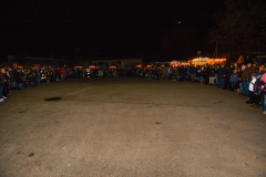 Photo by Sascha Fiala