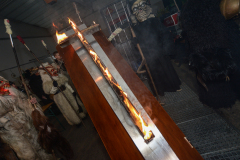 Photo by Sascha Fiala