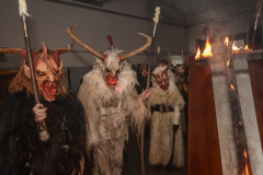 Photo by Sascha Fiala